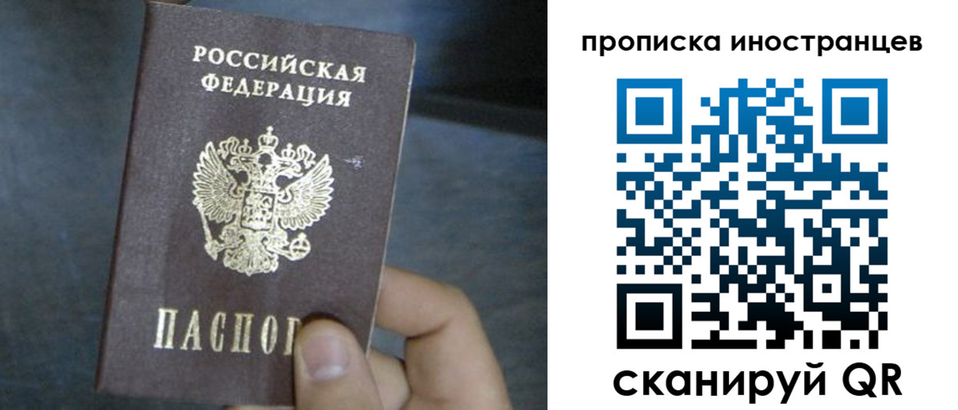 прописка в квартире в Михайловке